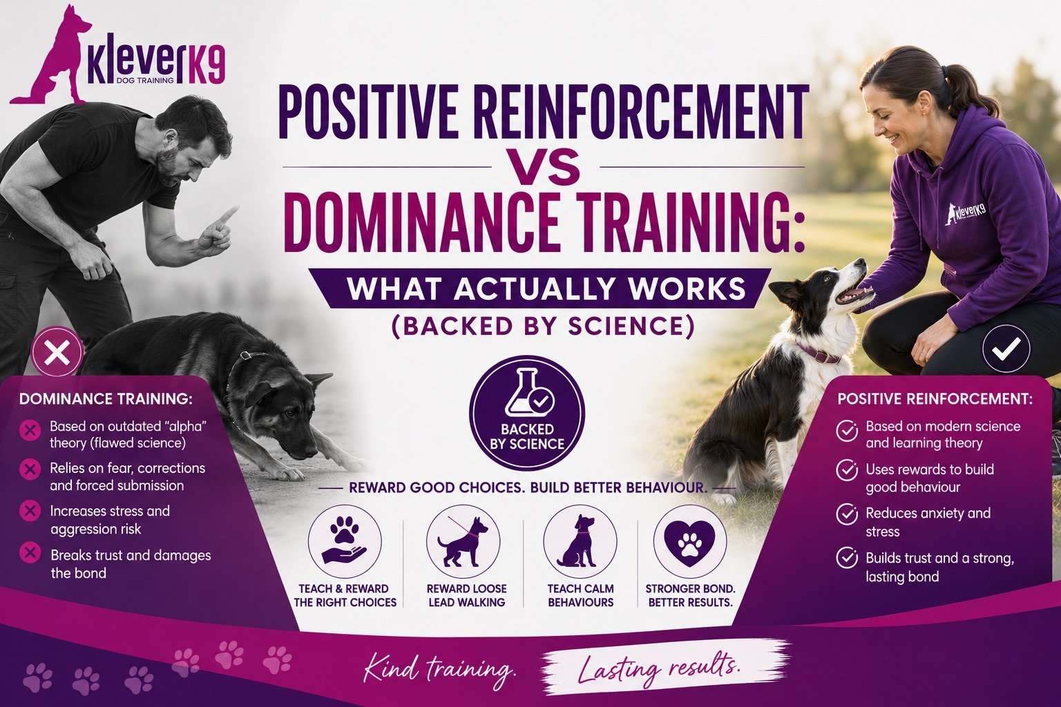 positive reinforcement vs dominance training