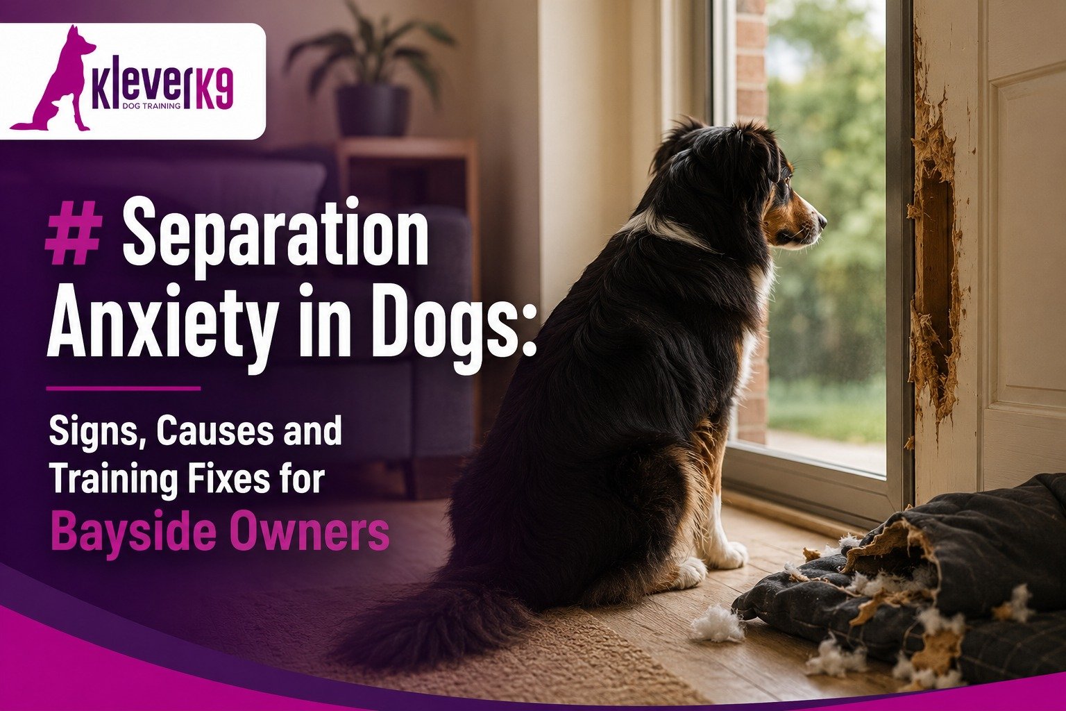 Separation anxiety in dogs
